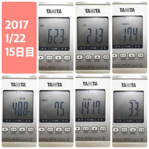 【体験15日目】アメリカNo.1ダイエットサプリ『リポドリン』-口コミ
