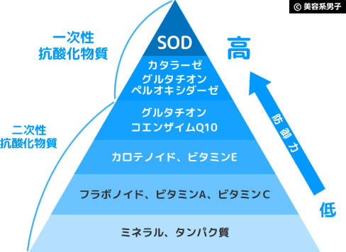 【抗酸化】活性酸素を減らす最強サプリ「SOD Power」除去-効果-04