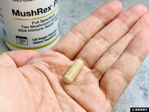 【世界No.1】きのこサプリ「マッシュレックスプラス」効果と抗酸化力