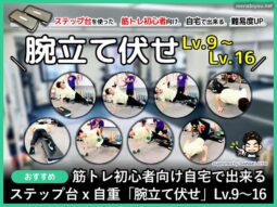 【筋トレ初心者向け】自宅で出来る「腕立て伏せ」やり方 Lv.9～16-00