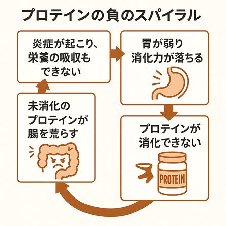 【保存版】プロテインでお腹の調子が悪い人へ。臭い・胃もたれの原因と“だしスープ”の解決法-09
