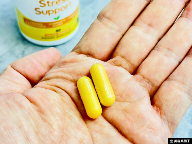 【美容×ストレス対策】Super Nutrition「Stress Support」が凄いぞ！成分・効果・体験レビュー-03