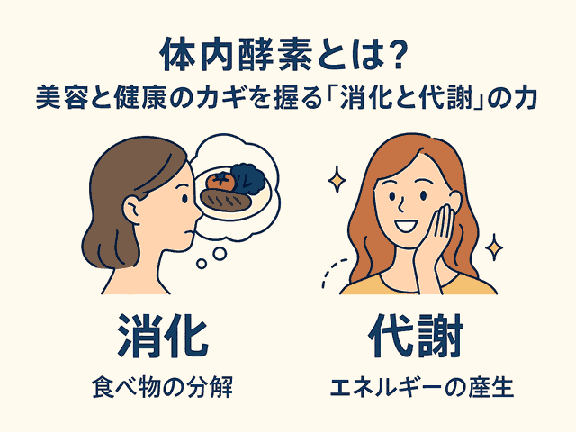 【大人の美容と健康に】体内酵素を支えて内側から整える！ダイエット・筋トレにも使えるサプリの選び方-04