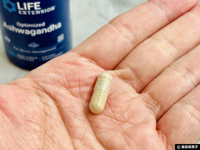 【ストレス対策】世界で話題の「アシュワガンダ」とは？違いと選び方｜KSM-66・Sensoril・他-06