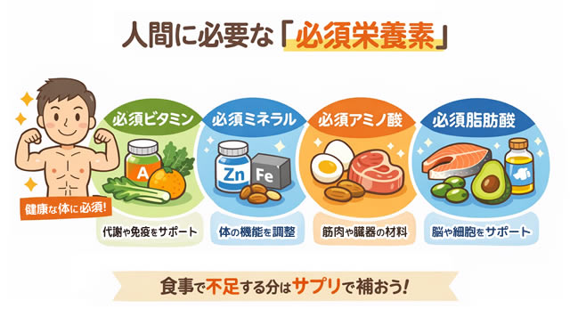 【iHerb購入品】マルチビタミンどれがおすすめ?初心者向け、性別・年齢別の選び方完全ガイド-01