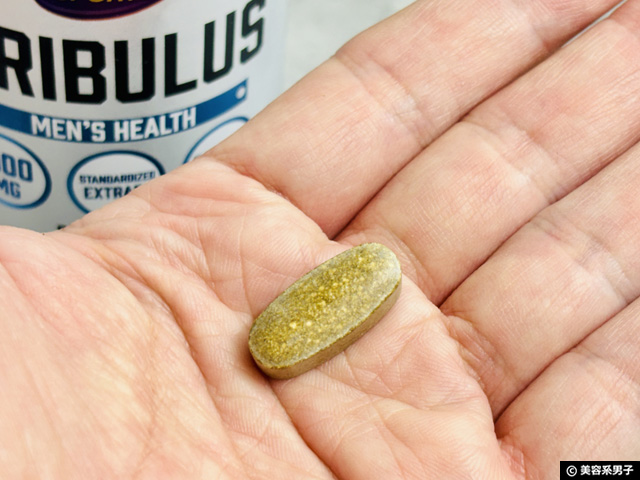 【iHerb購入品】大人男子が磨くべき「美活力」とは？若さを支えるハマビシという選択-03