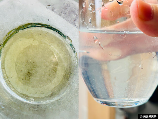 【ダイエット】ÈTOA(エトア)CALOXY CUTはどう?キトサンは効くのかNOW Foodsと比較&医薬品との違い-03
