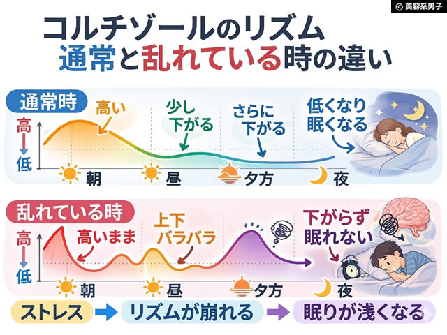 【iHerb購入品】ストレスと睡眠の関係に着目したリラックス系サプリ｜LifeTime Vitamins Calm & Calmer レビュー-01