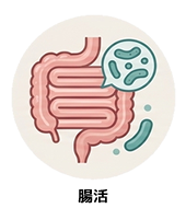 カテゴリー｜腸活