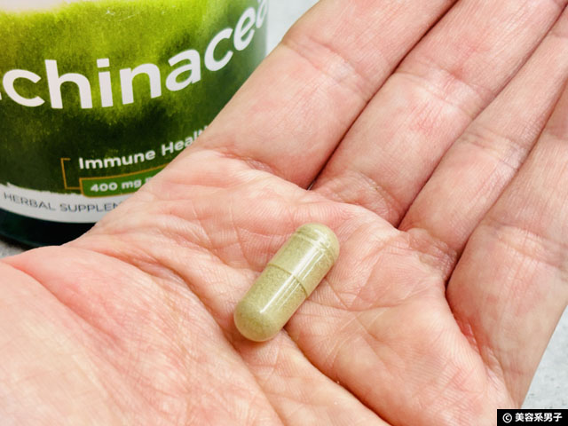 【iHerb購入品】免疫力の低下が気になる人へ｜体調不良の原因と正しいケア＋エキナセアレビュー-07