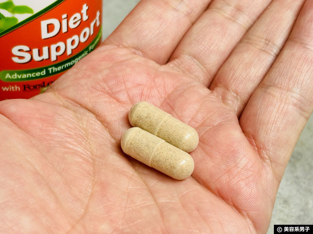 【ダイエット】初心者向け 海外サプリ NOW Foods Diet Support｜今すぐ始めたい理由と注意点｜iHerb購入品-03