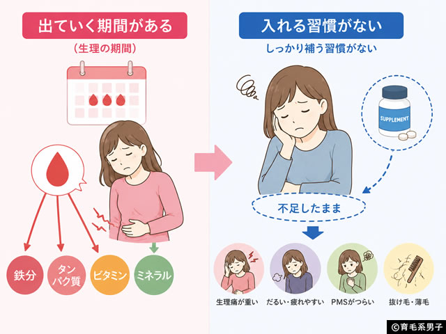 【iHerb】美容・健康で見落としがちな「血流」の話｜筋トレ・薄毛・ナイトライフとの意外な関係-04