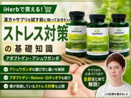 【ストレス対策】漢方やサプリを試す前に知っておきたい基礎知識｜アダプトゲン・アシュワガンダ｜iHerb購入品-00