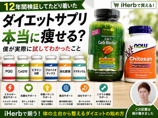 【12年間検証】ダイエットサプリは本当に意味ある?日本・海外・効果・選び方・僕がたどり着いた答え-00