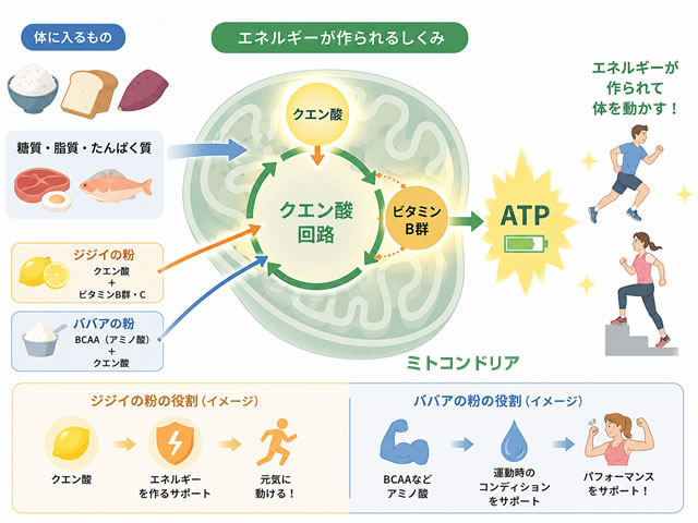 【SNSで話題】飲むジジイの粉・飲むババアの粉は疲労回復じゃない?違い・注意点・iHerbで作る最強ブレンド-03