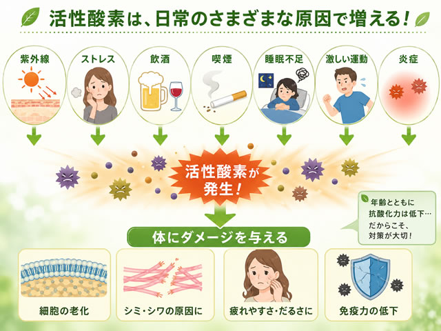 【活性酸素】SOD+セレンが最強?ビタミンC・アスタキサンチンとの違いを徹底解説|iHerb抗酸化サプリ-01