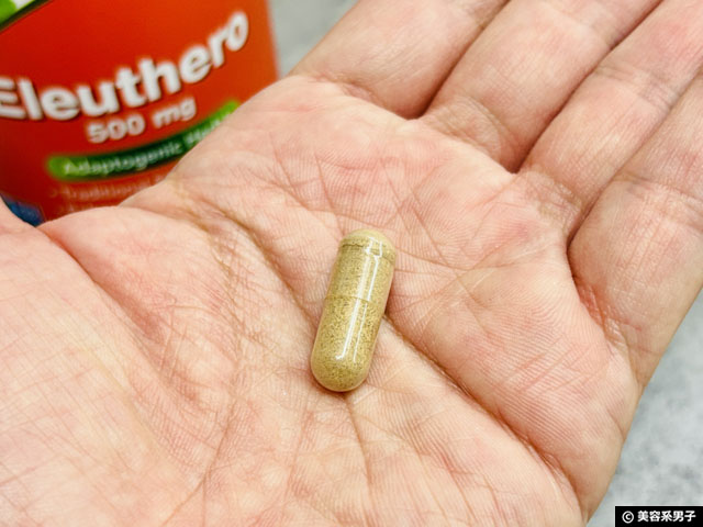 【疲労回復の方法】その「疲れ」、体？脳？疲労感を考える「エレウテロ」とは｜iHerbサプリ効果-05