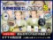 【80余年の歴史】御岳百草丸の長野県製薬さんオススメ5選【感謝】-00