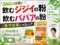 【SNSで話題】飲むジジイの粉・飲むババアの粉は疲労回復じゃない？違い・注意点・iHerbで作る最強ブレンド00