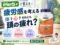 【疲労回復の方法】その「疲れ」、体？脳？疲労感を考える「エレウテロ」とは｜iHerbサプリ効果-00